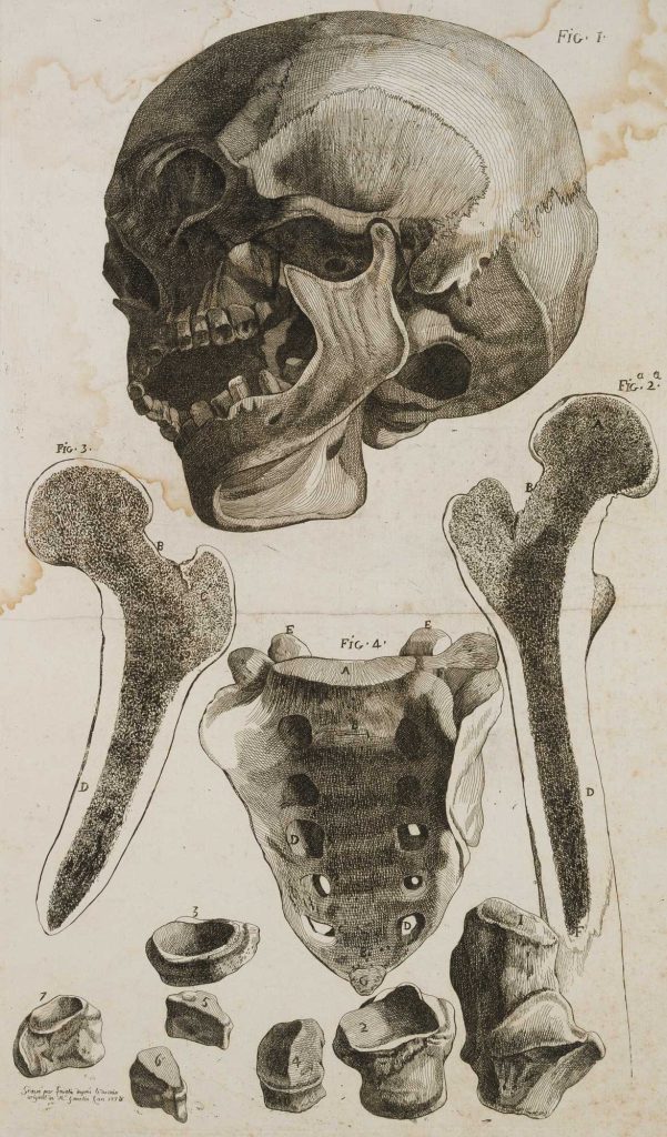 Werk von Jacques Lavallée