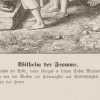 Ansicht 4