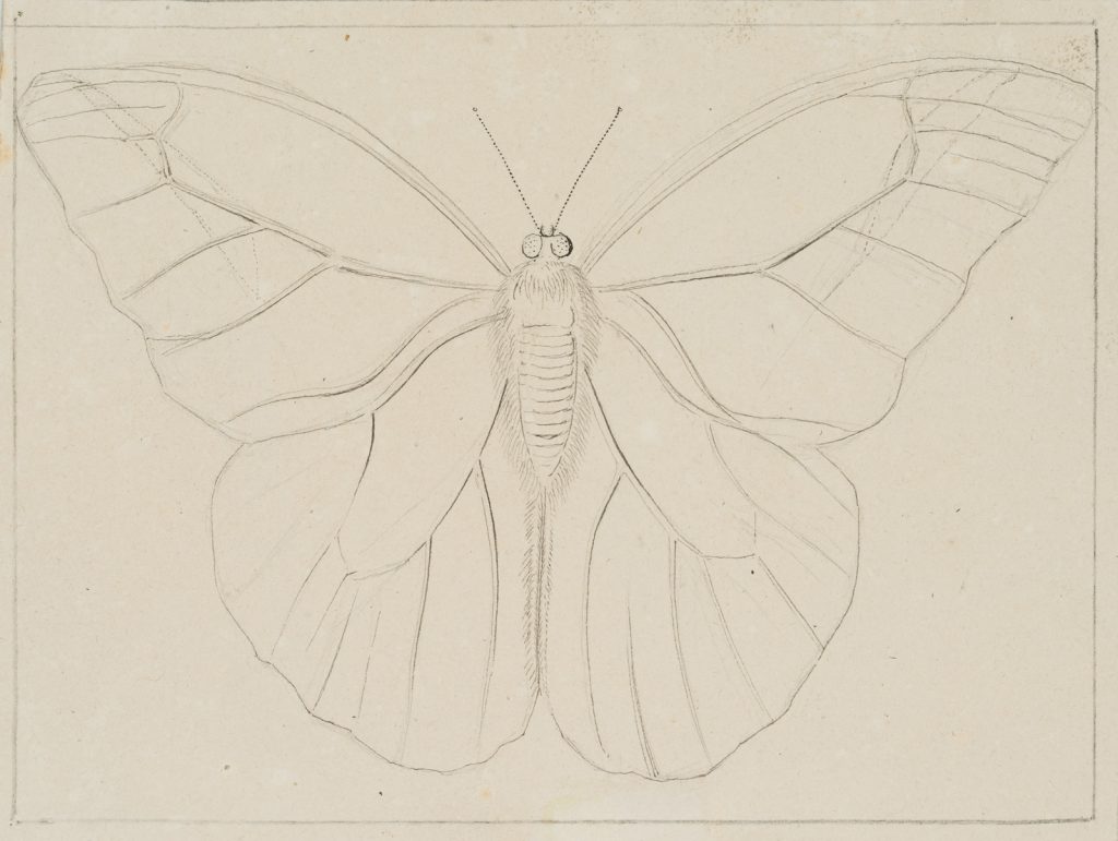 Werk von Friedrich Voltz