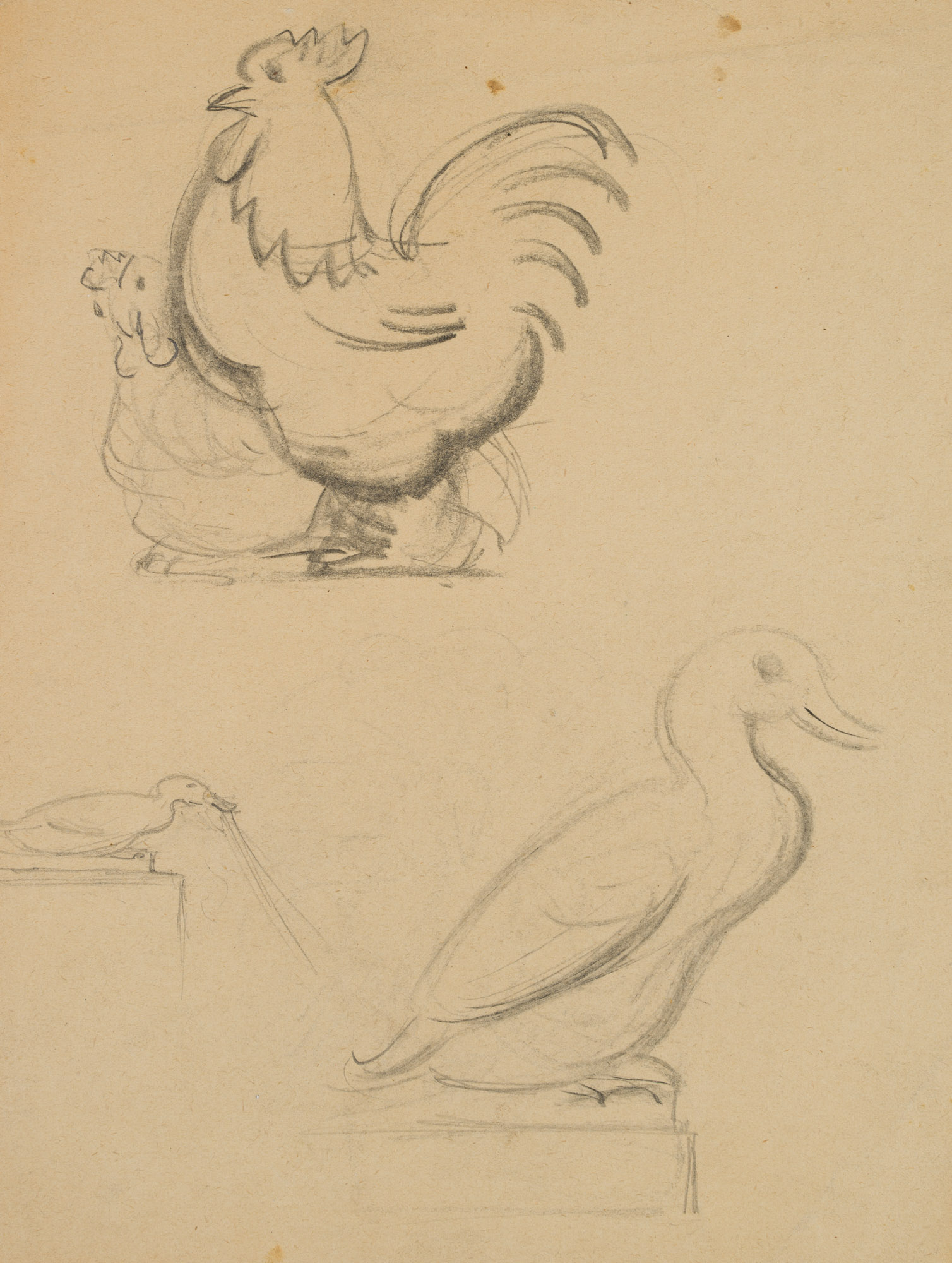 Studienblatt: Hahn und Ente