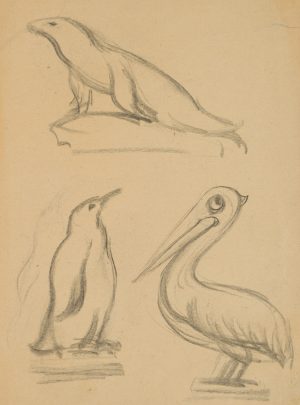 Studie: Robbe, Pinguin und Pelikan