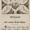 Ansicht 1