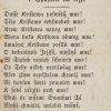 Ansicht 4