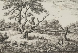 Landschaft mit altem Baum