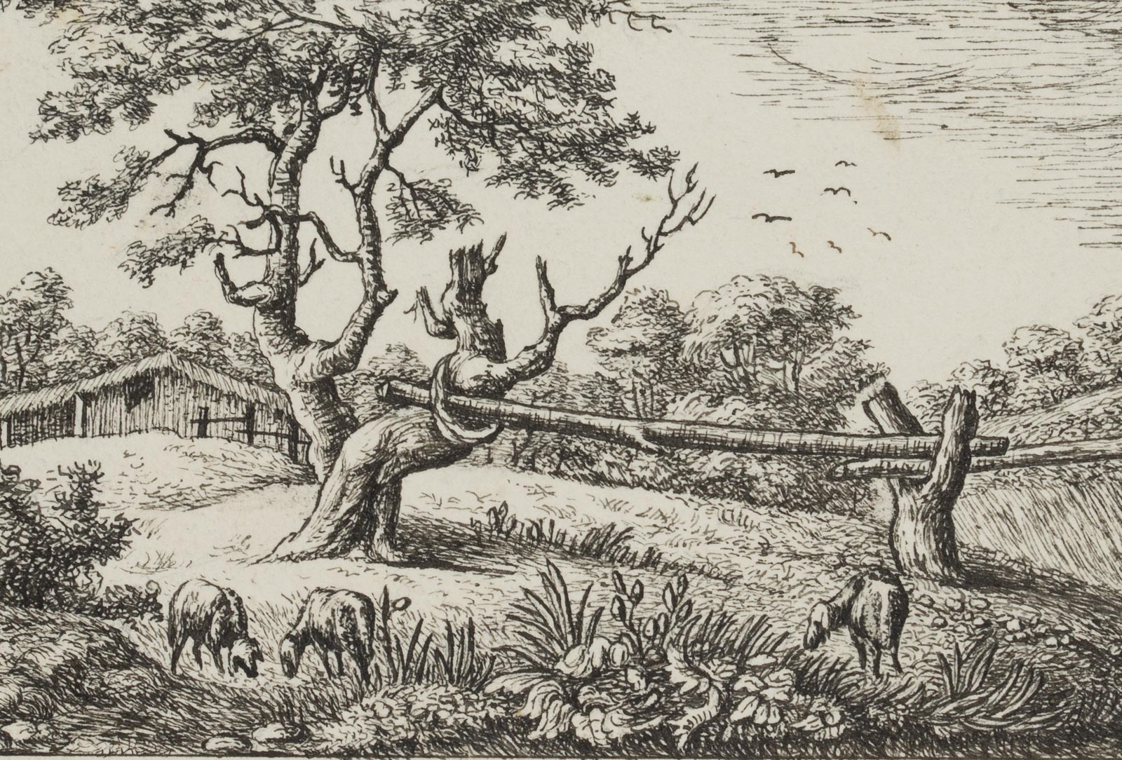 Landschaft mit altem Baum