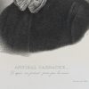 Ansicht 4