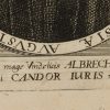 Ansicht 4