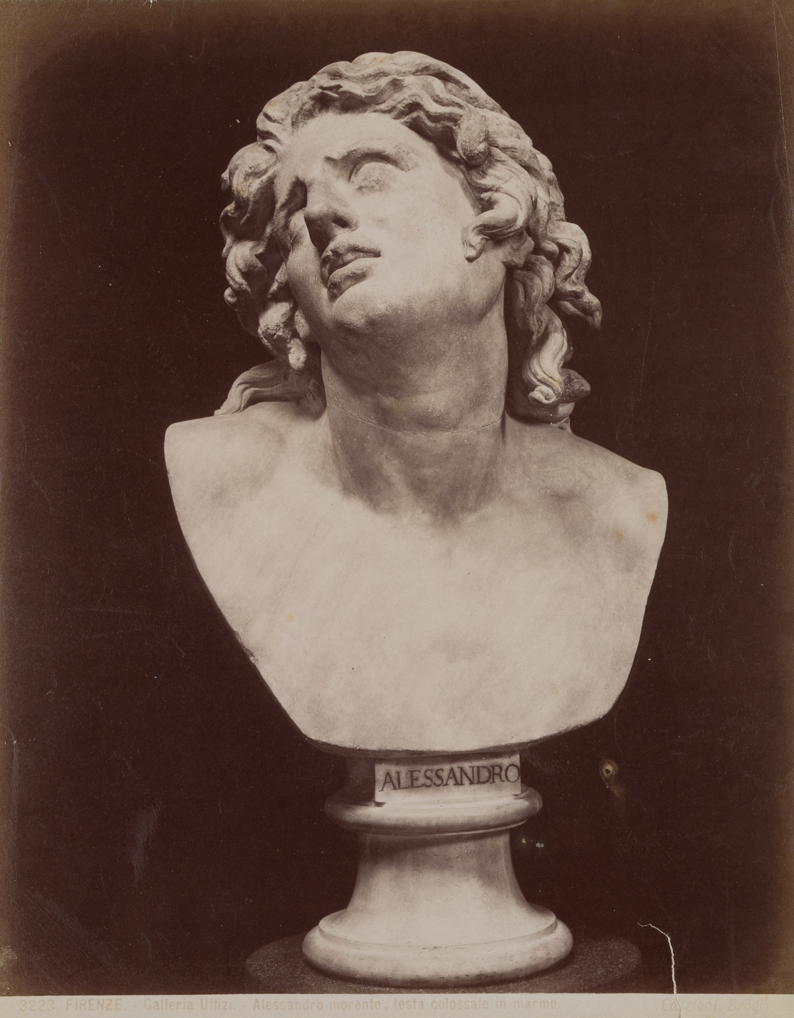 Büste des Alessandro, Florenz
