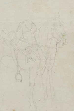 Gesatteltes Pferd