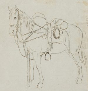 Pferd mit Sattel und Zaum