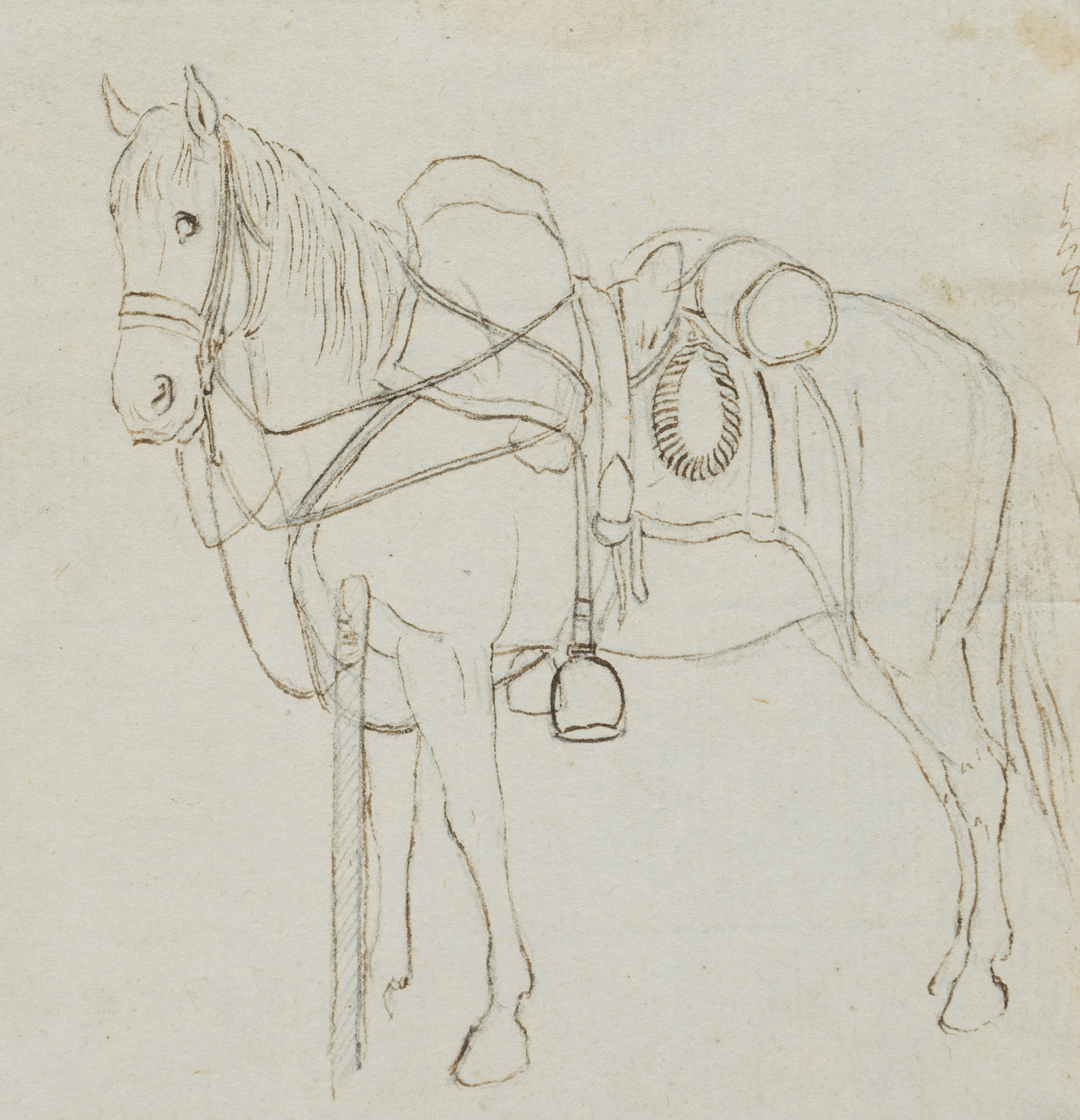 Pferd mit Sattel und Zaum