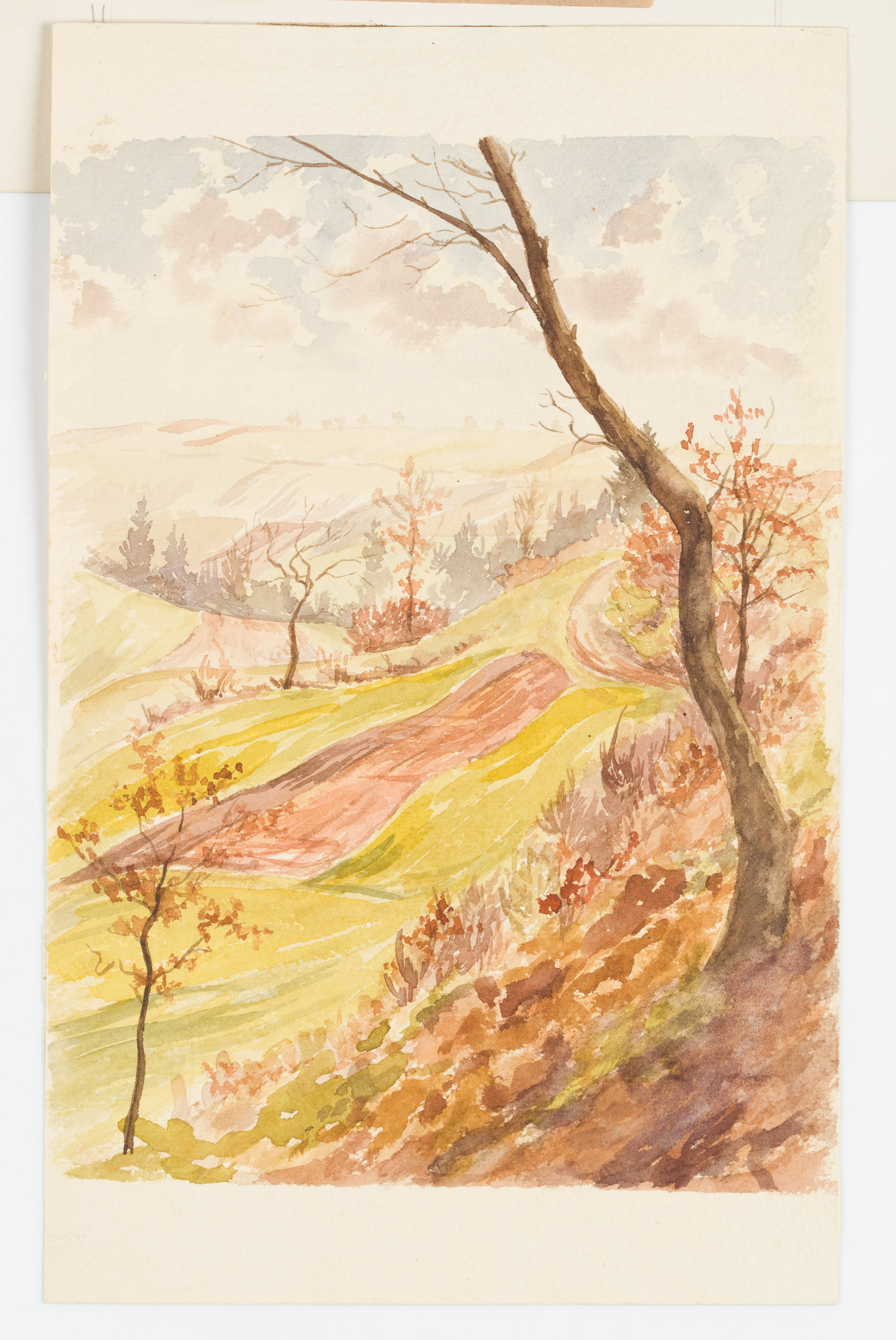 Sonnige Herbstlandschaft