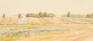 Landschaft mit Feldern