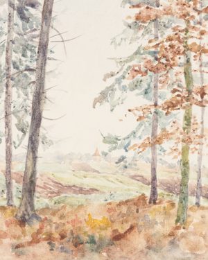 Waldstück bei Dorf Tiefenbach