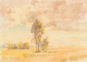 Wolkenlandschaft über Wiesen