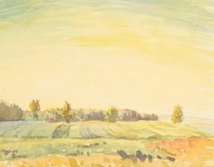 Kulturlandschaft im Sommerlicht