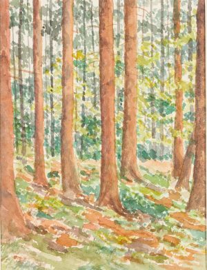 Waldstück. Hohe Baumstämme