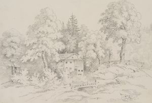 Baumbestandene Landschaft