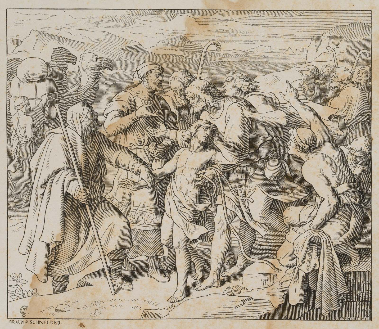 Cotta-Bibel nach Luther