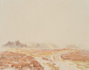 Wiesenlandschaft mit Waldstücken