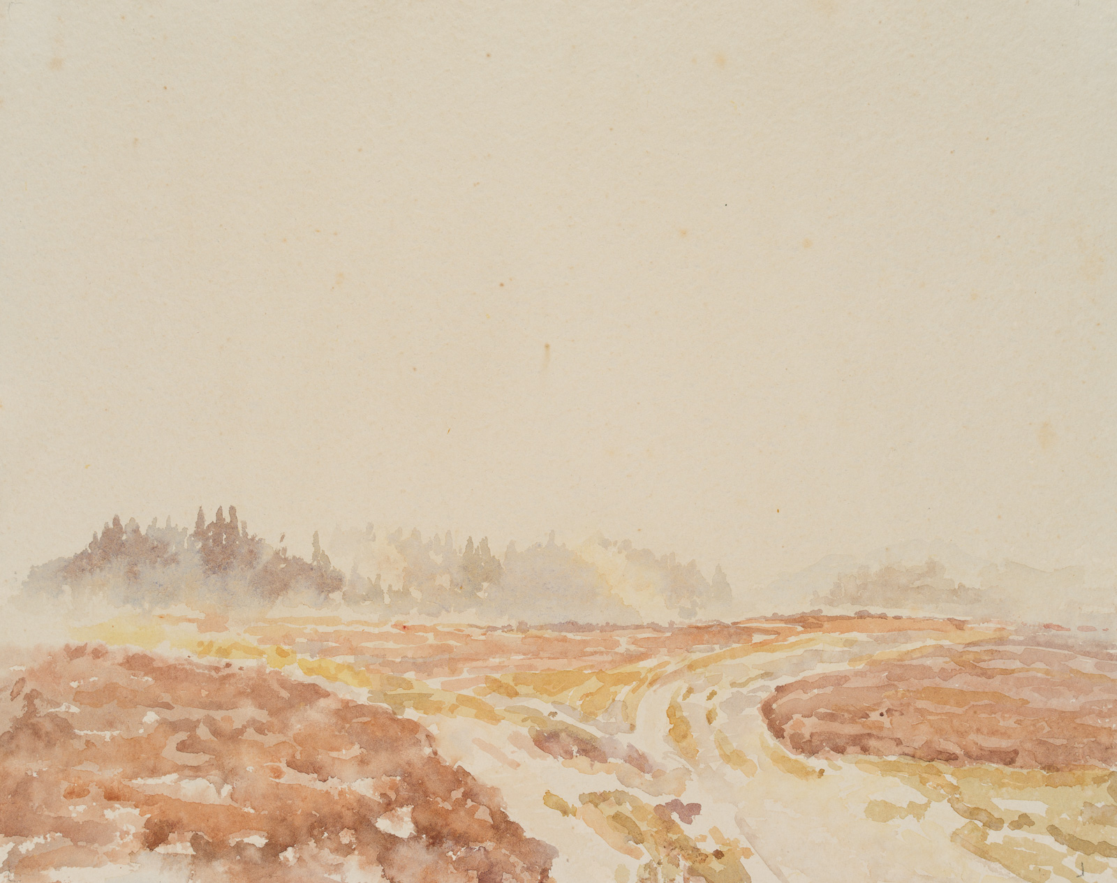 Wiesenlandschaft mit Waldstücken