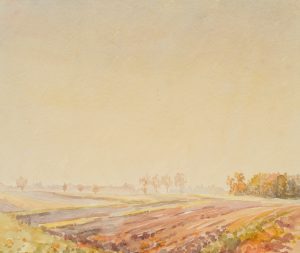 Agrarlandschaft
