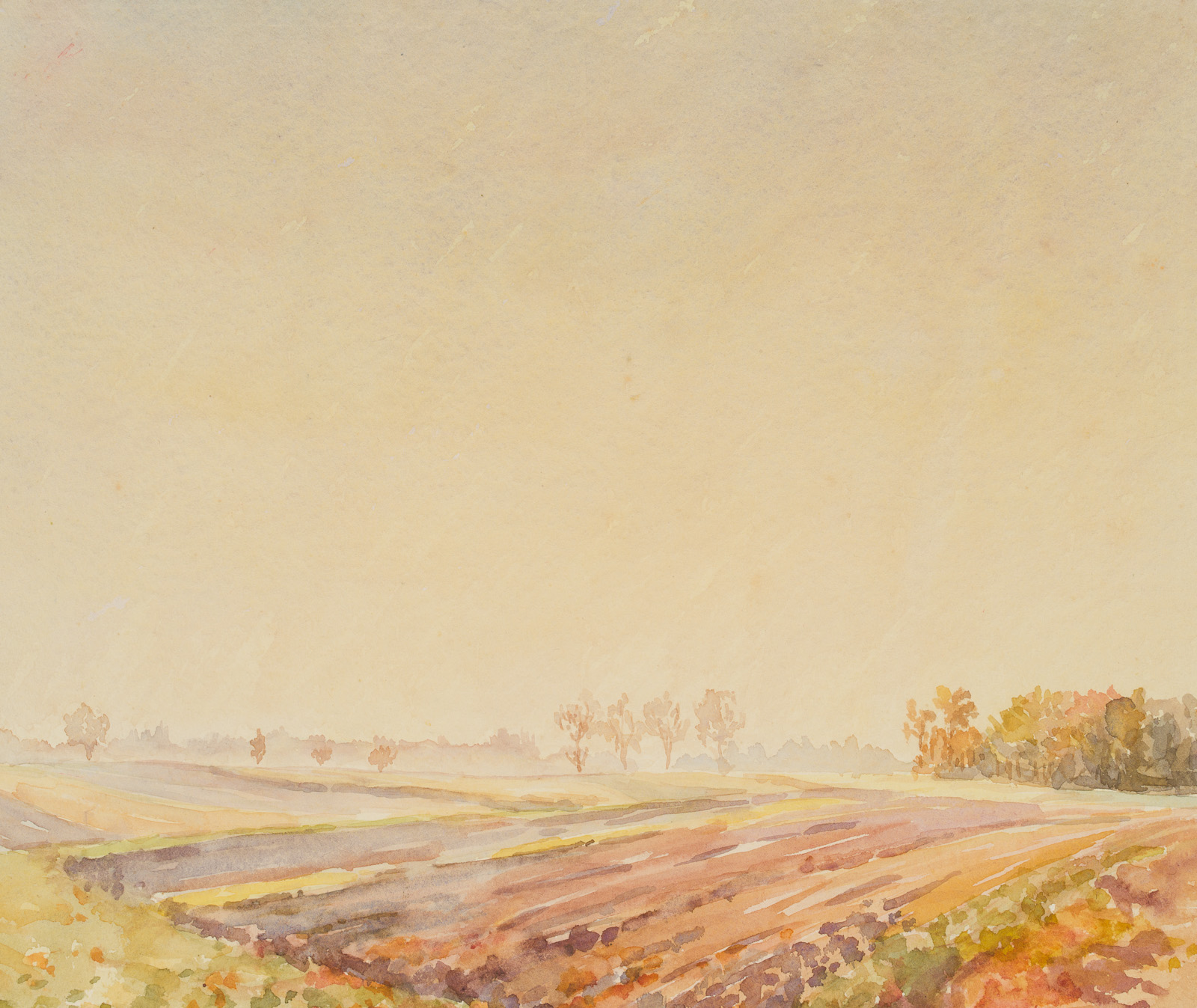 Agrarlandschaft