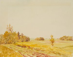 Wollmershausen. Wiesenlandschaft