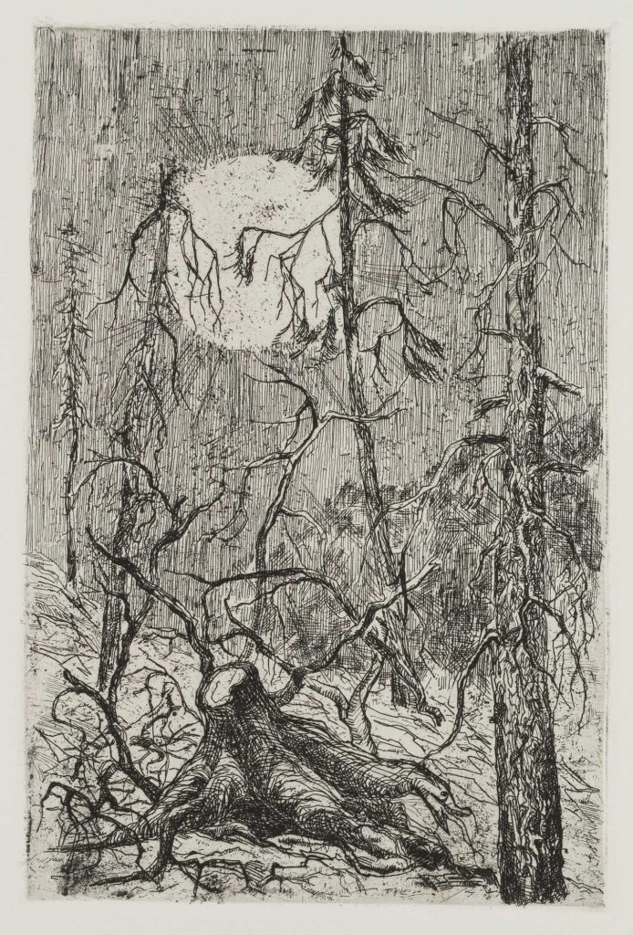Werk von Emma Tichy-Bock