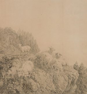 Schafe auf einem Felsblock