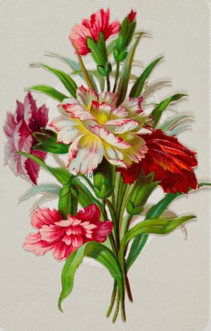 Glückwunschkarte mit Blumenbouquet