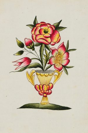 Prächtig blühende Blumen