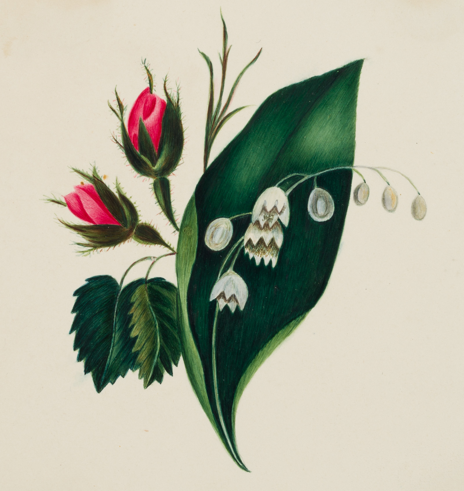 Glückwunschkarte. Rosenzweig u. Maiglöckchen
