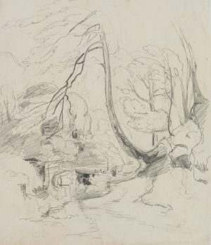 Gebogener Baum am Hang