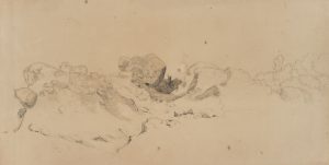 Felsenstudie in Landschaft