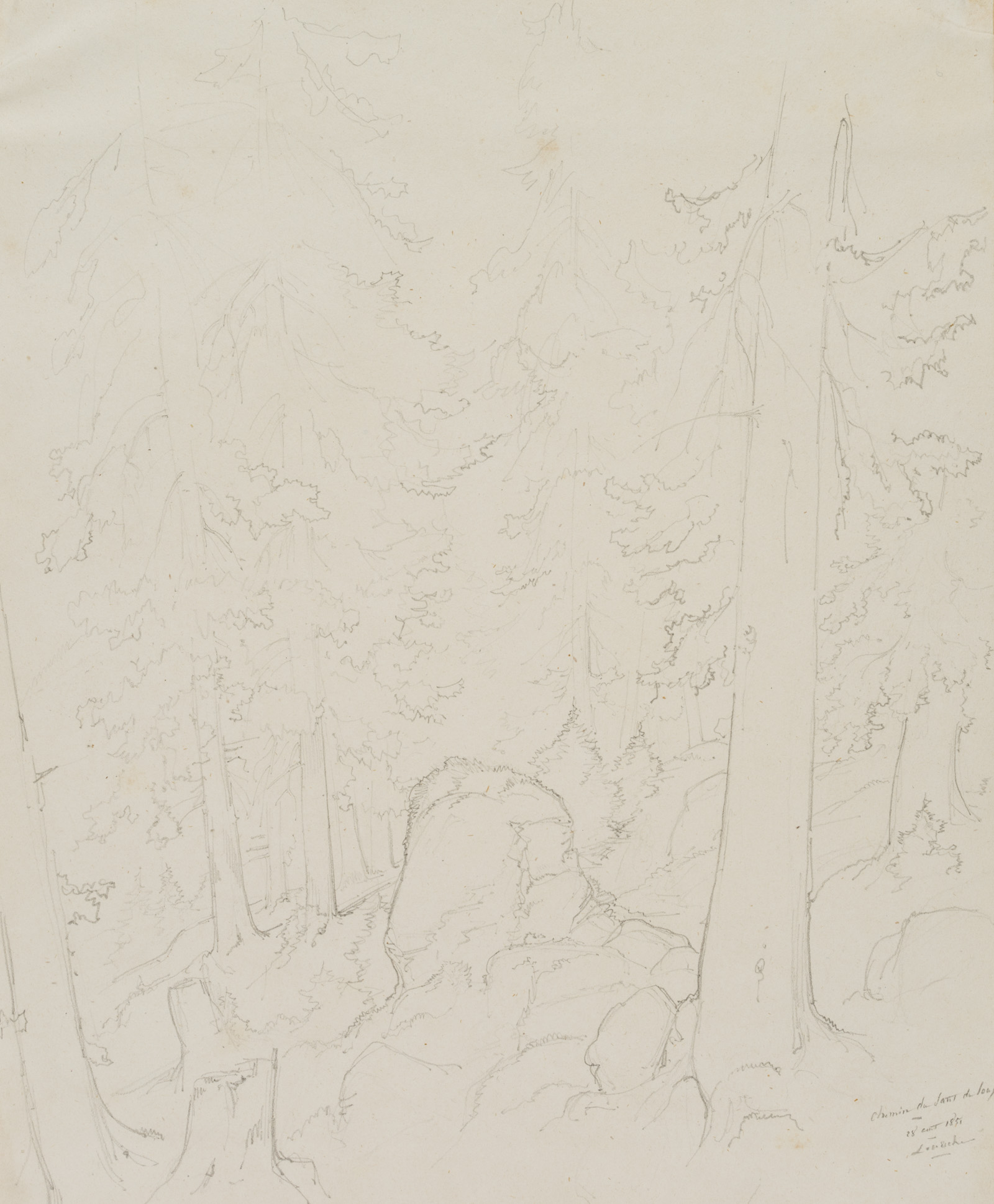 Wald bei Saut du Loup, Loéche, Schweiz