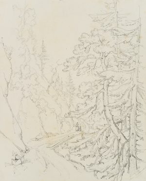 Waldweg bei Leukerbad, Wallis, Schweiz