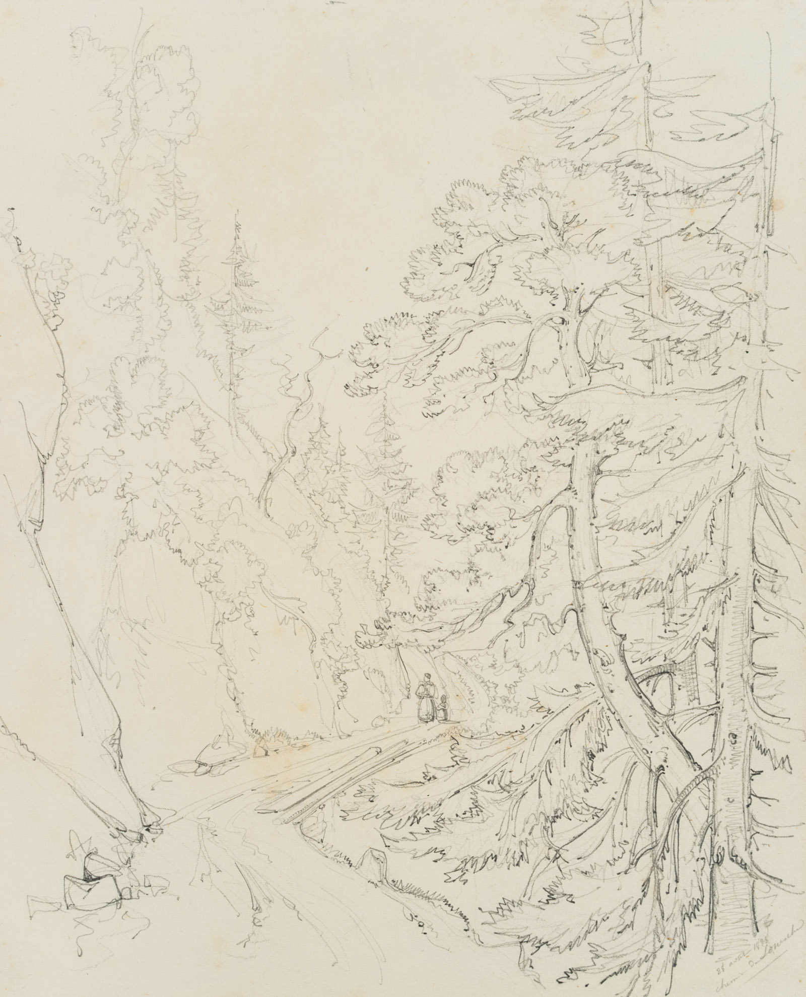 Waldweg bei Leukerbad, Wallis, Schweiz