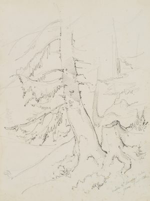 Baum bei Les Diablerets, Gryon, Schweiz
