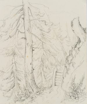 Waldweg Saut du Loup, Schweiz