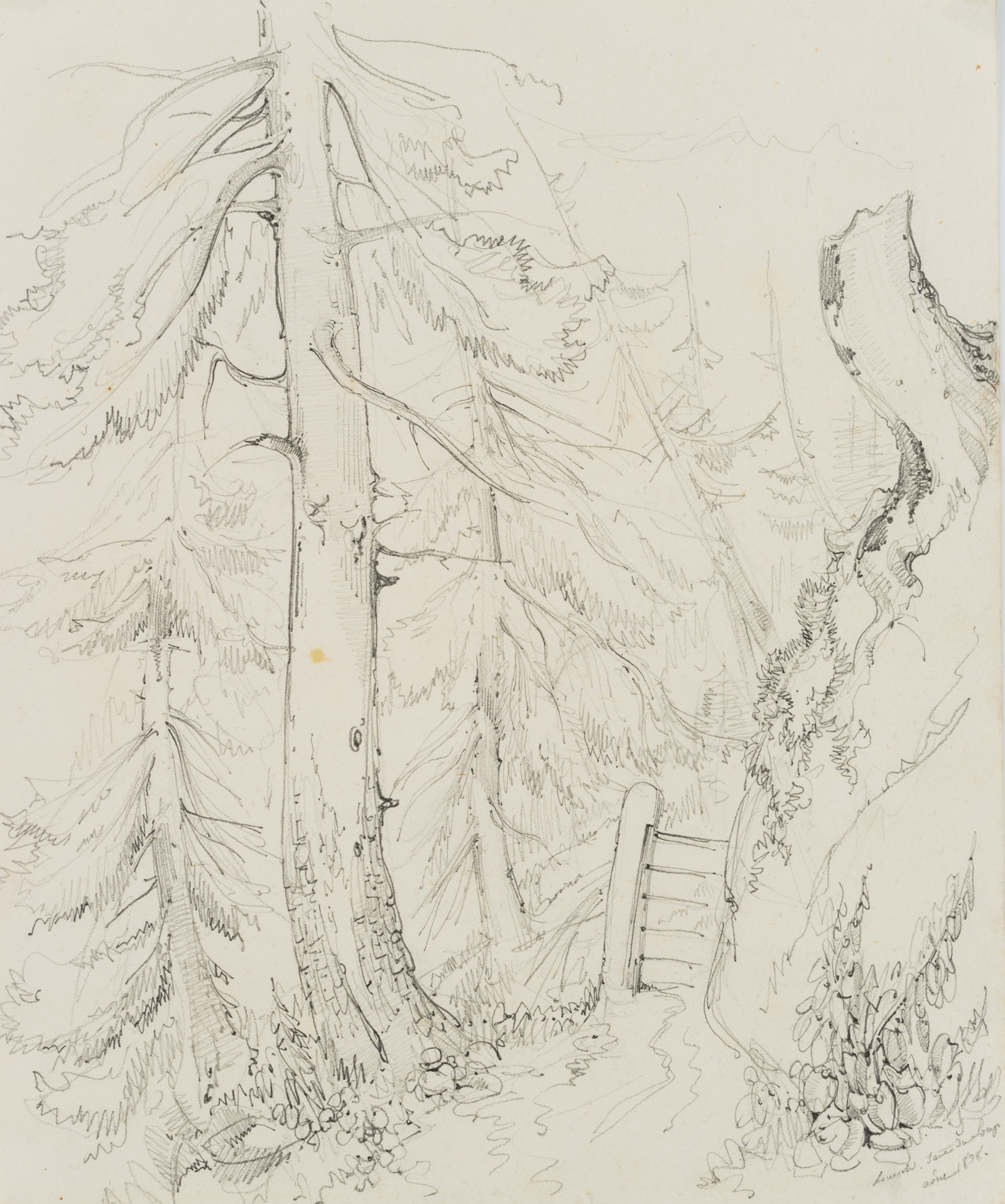 Waldweg Saut du Loup, Schweiz