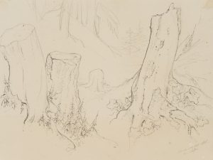 Wald La Flue bei Leuk, Wallis