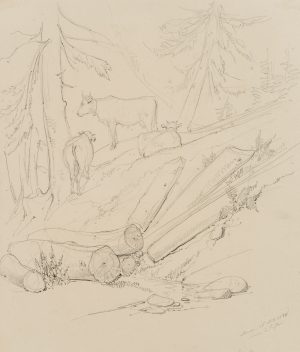 Kühe im Wald bei Leuk, Wallis