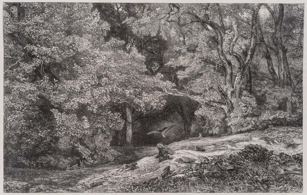 Werk von Karl Bodmer