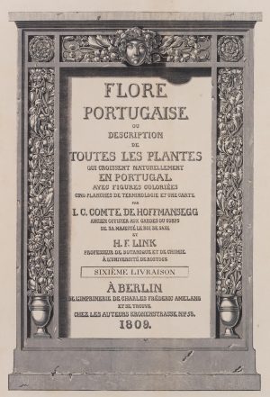 Titel zu Flore Portugaise
