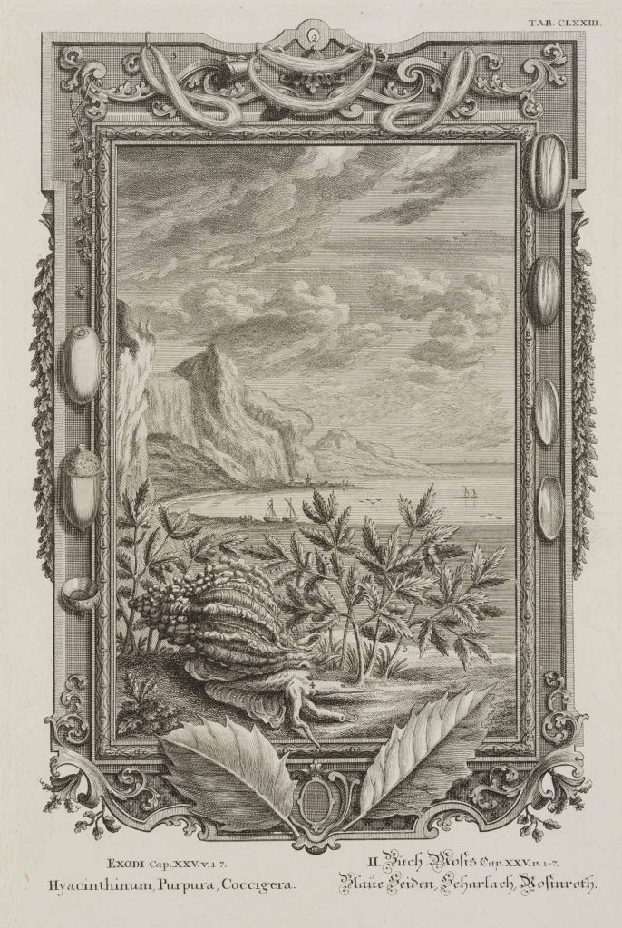 Werk von Johann Georg Pintz
