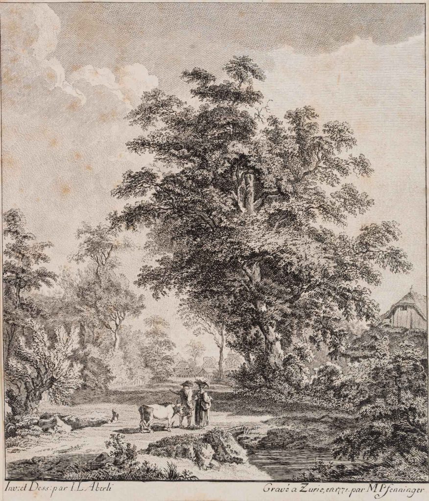Werk von Matthias Pfenninger