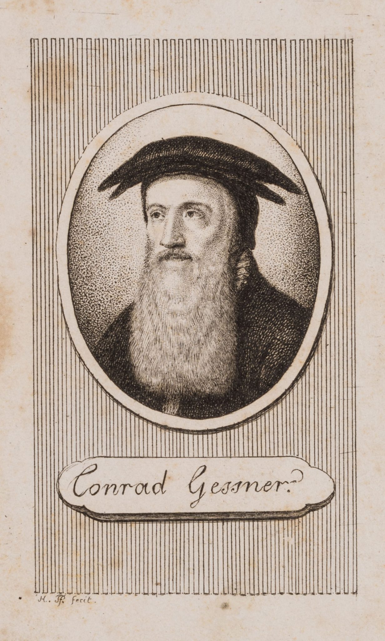 Portrait des Conrad Gessner