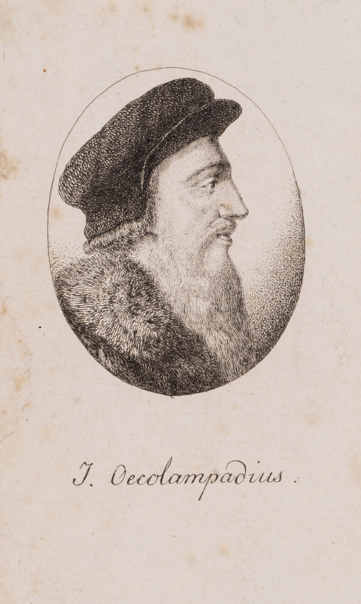 Portrait des Johannes Oekolampad