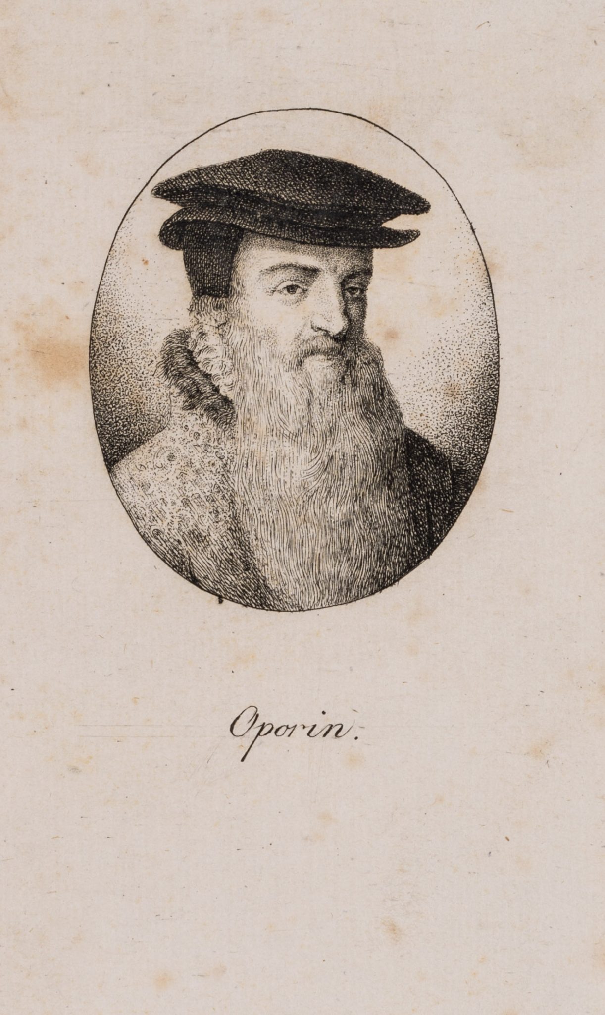 Porträt des Johannes Oporinus